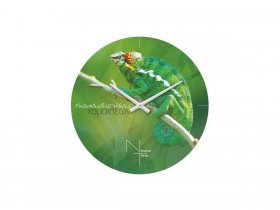 Часы настенные Nicole Time NT503 в Сузуне - suzun.mebel-nsk.ru | фото