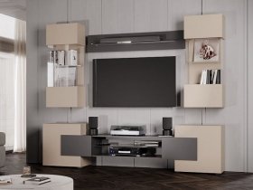 Гостиная Фэнтези (кашемир/графит) в Сузуне - suzun.mebel-nsk.ru | фото