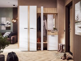 Модульная прихожая Санса (дуб сонома/белый) в Сузуне - suzun.mebel-nsk.ru | фото
