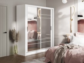 Шкаф-купе Дрим-1 2,0м (белый) в Сузуне - suzun.mebel-nsk.ru | фото