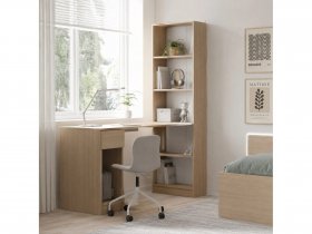 Стол письменный угловой «Лайт» 10.01 (плэйн) в Сузуне - suzun.mebel-nsk.ru | фото